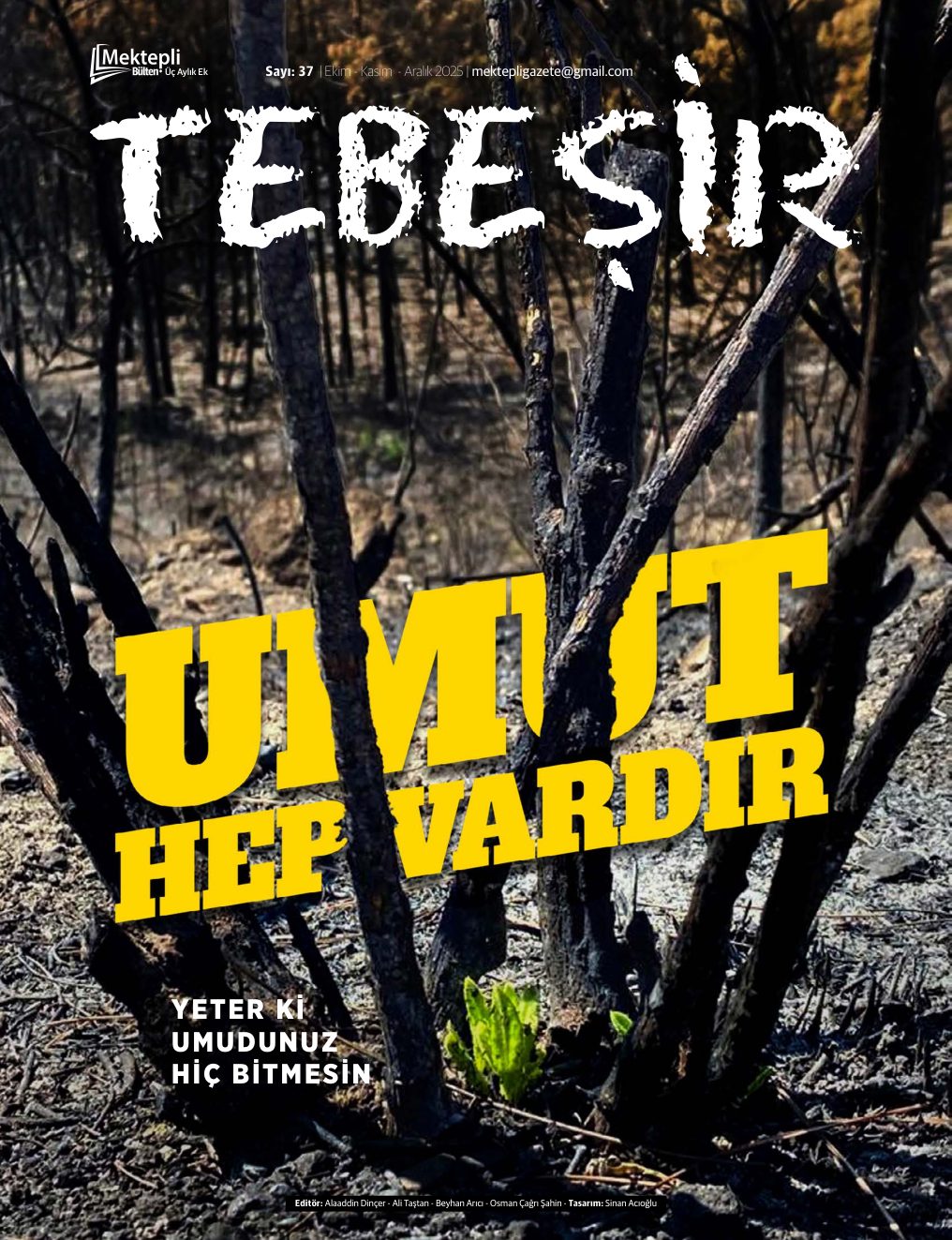 Mektepli Gazete Bülten ( 37.sayı )